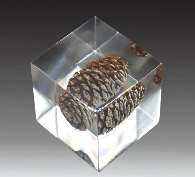 Thermoplastic Acrylic Resin Solid Acrylic Resin